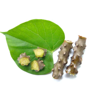 Chittamruthu