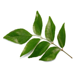 Curry Leaves